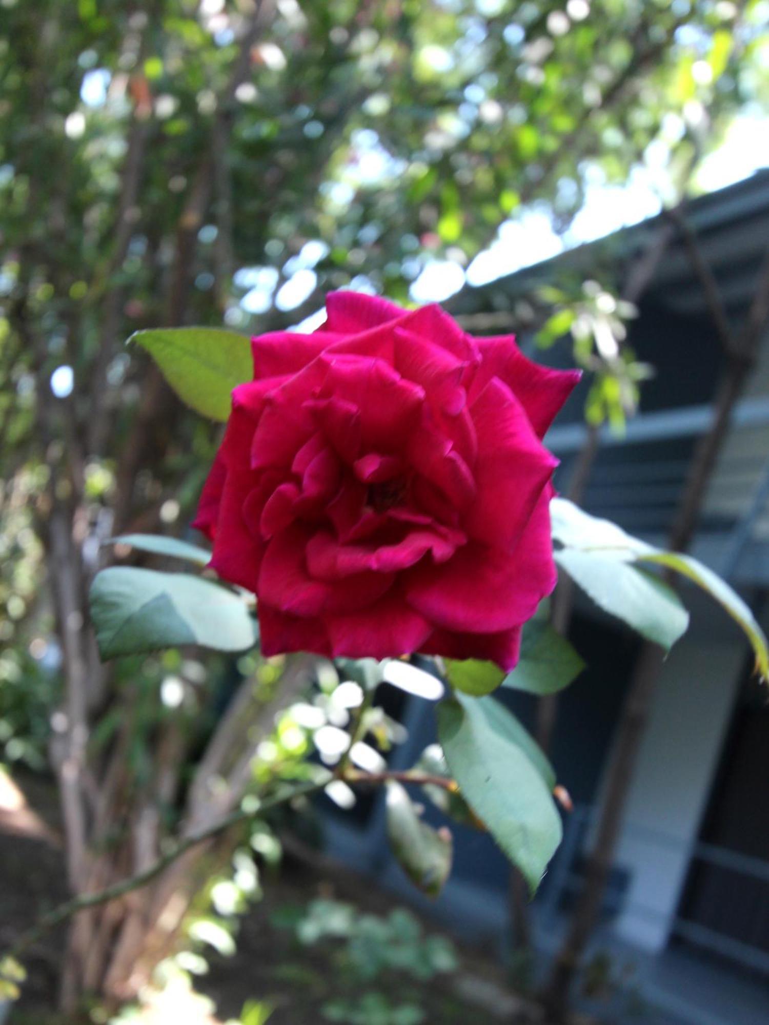 Highland Gardens 2*